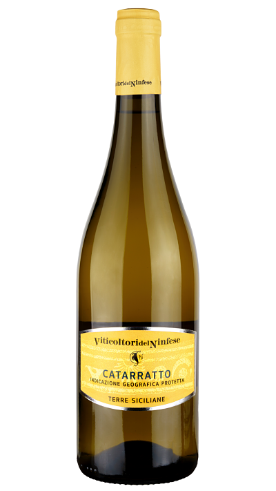 catarratto white wine