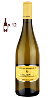 Italian white wine Catarratto