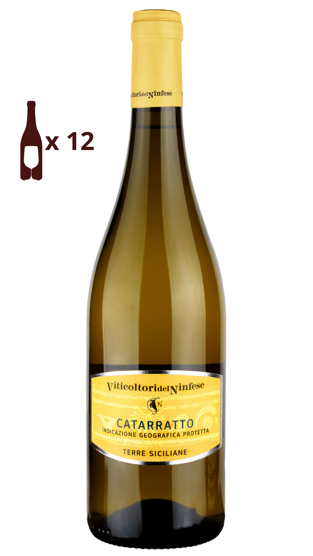 Italian white wine Catarratto