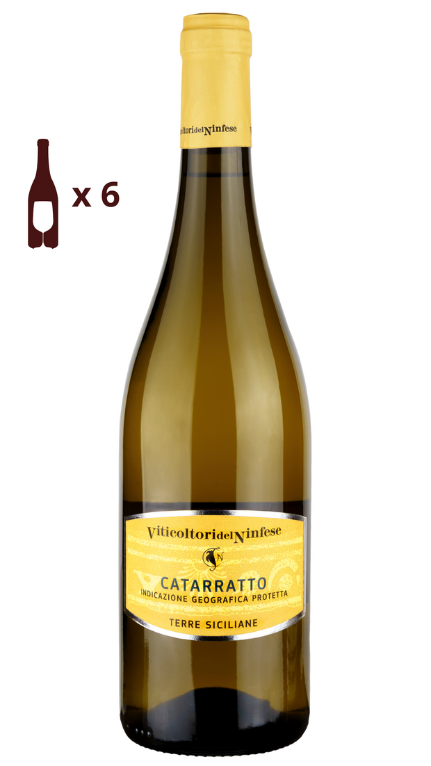 Italian white wine Catarratto