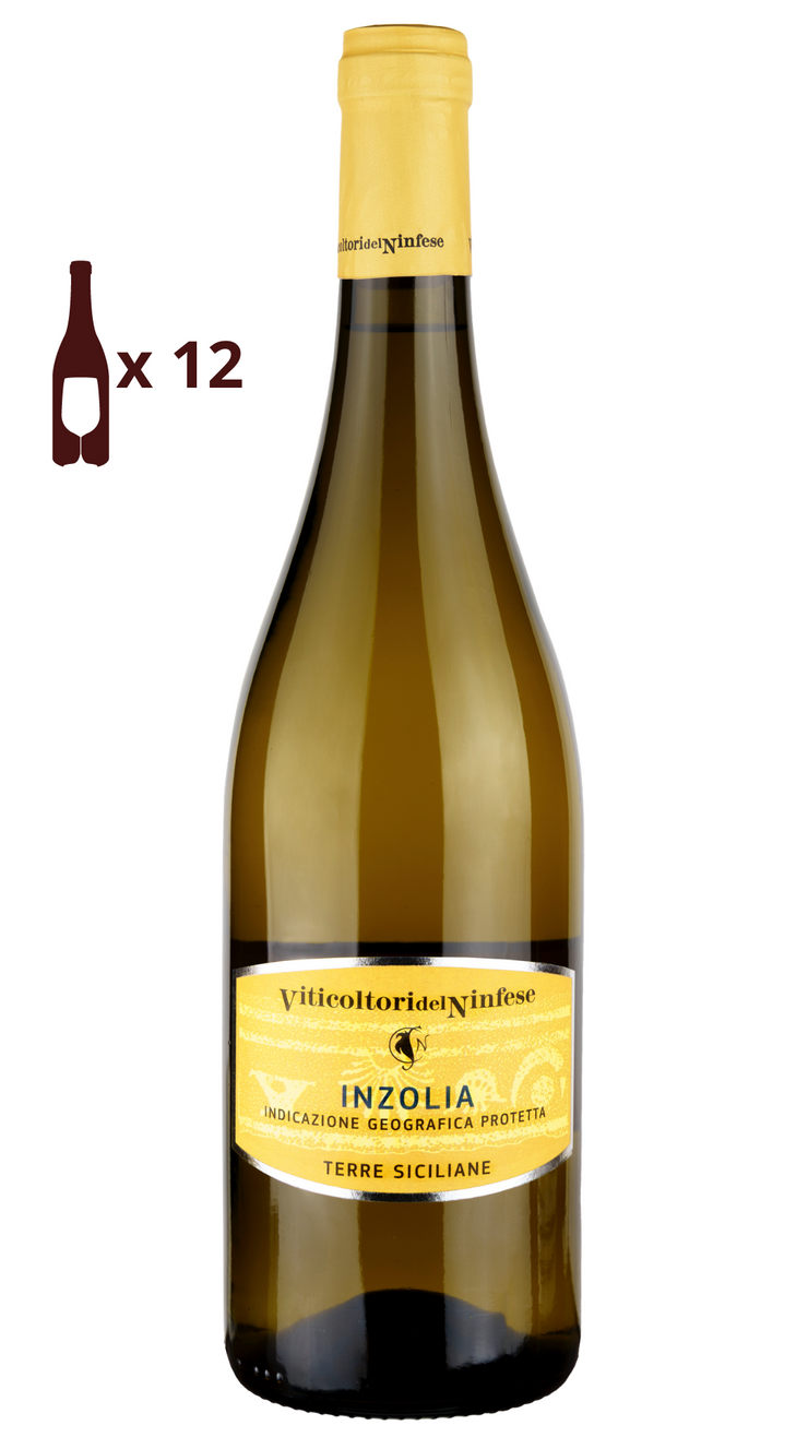 italian white wine inzolia